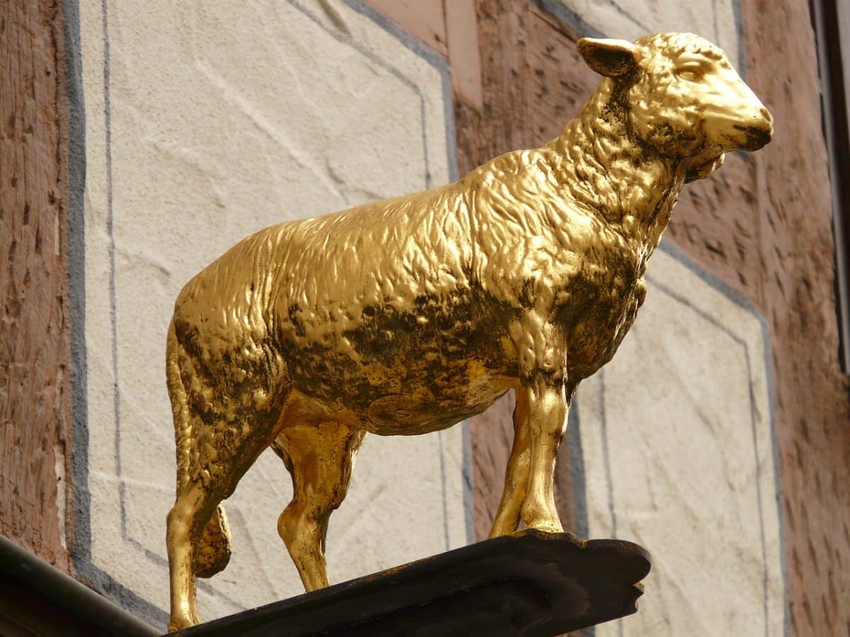 Buy Traffic Blackhatworld Number