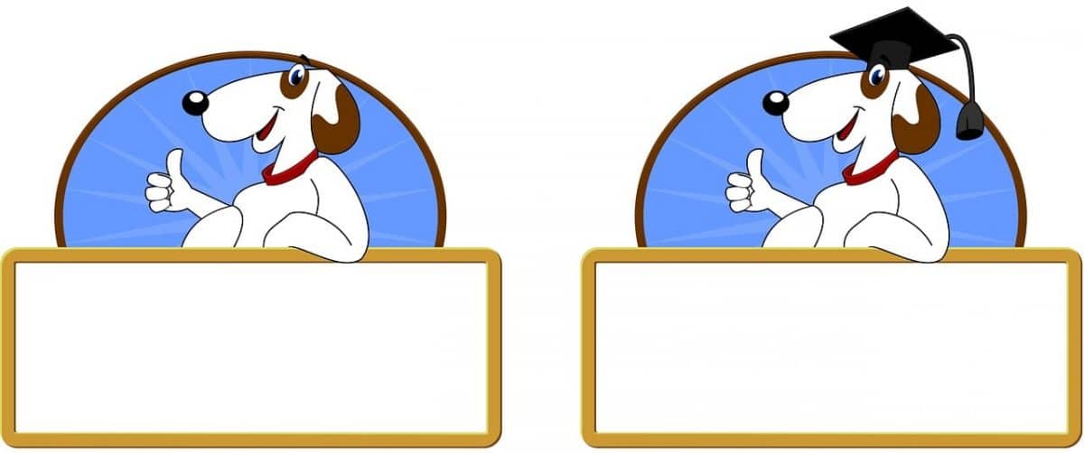 Buy Website Traffic Bitcoin Join