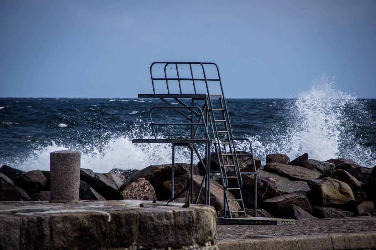 Buy Blackhat Traffic The Movie