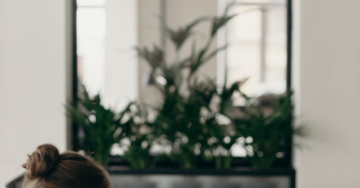 Your New Clients Adwords Account