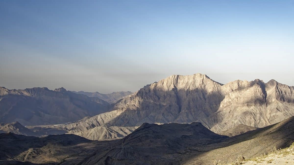 Buy Organic Traffic Hits Counterpart