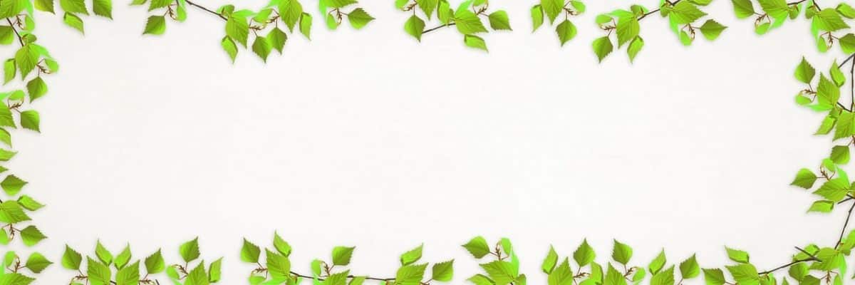 Buy Organic Traffic Hits Program