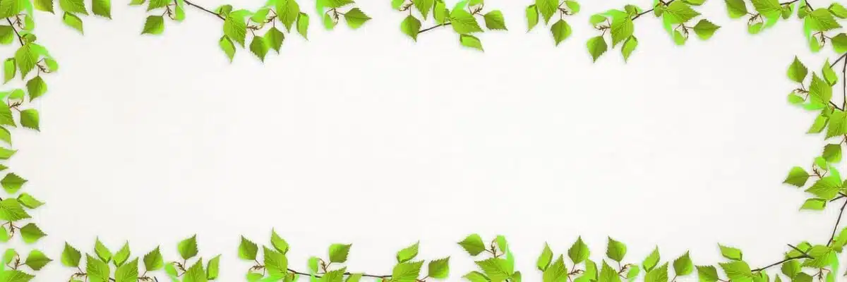 Buy Organic Traffic Hits Program