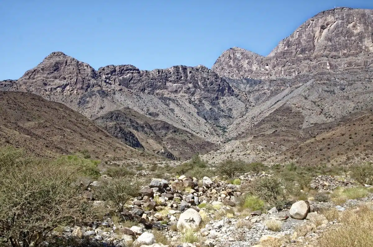 Buy Traffic India Post