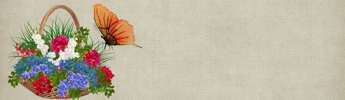 Buy Cheap Traffic Online Investing