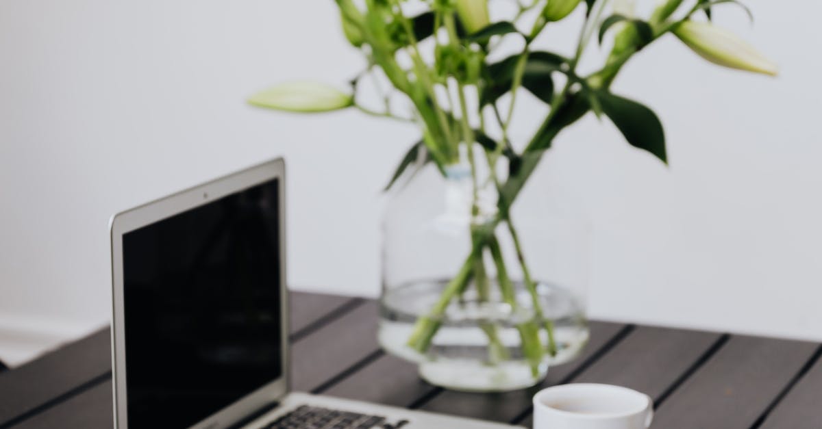 Cheap Adwords Management