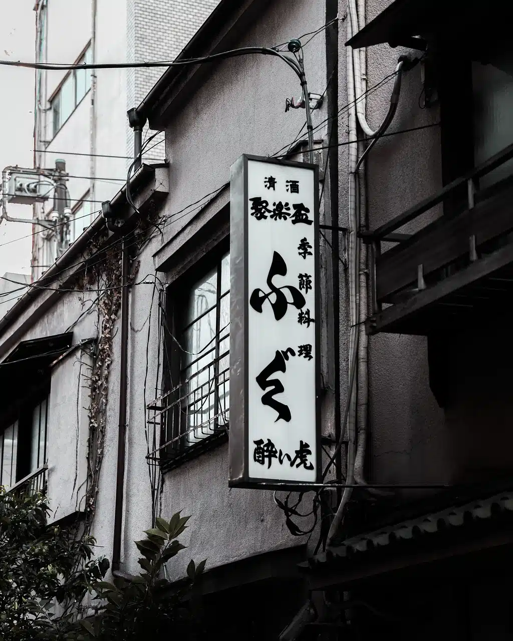 Buy Pharmacy Traffic Engineering