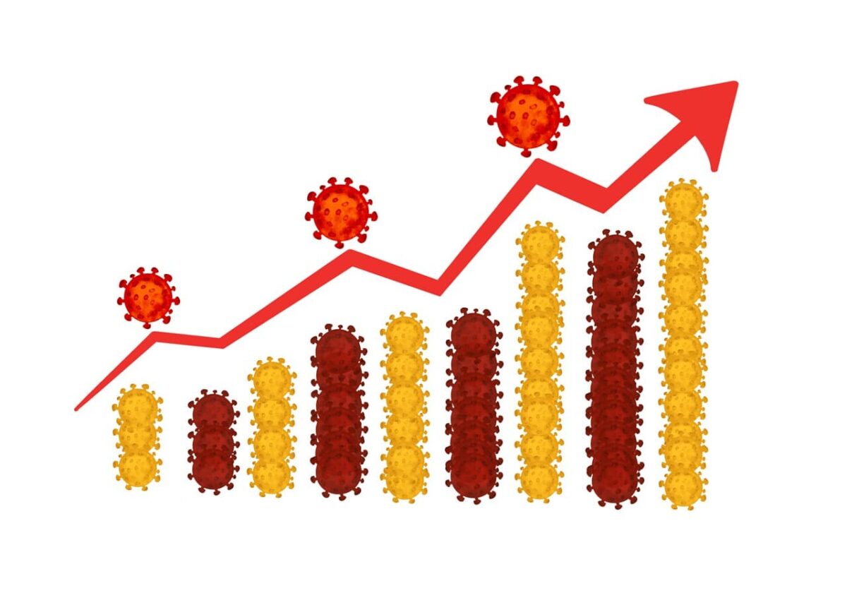 Buy Cheap Quality Traffic Query