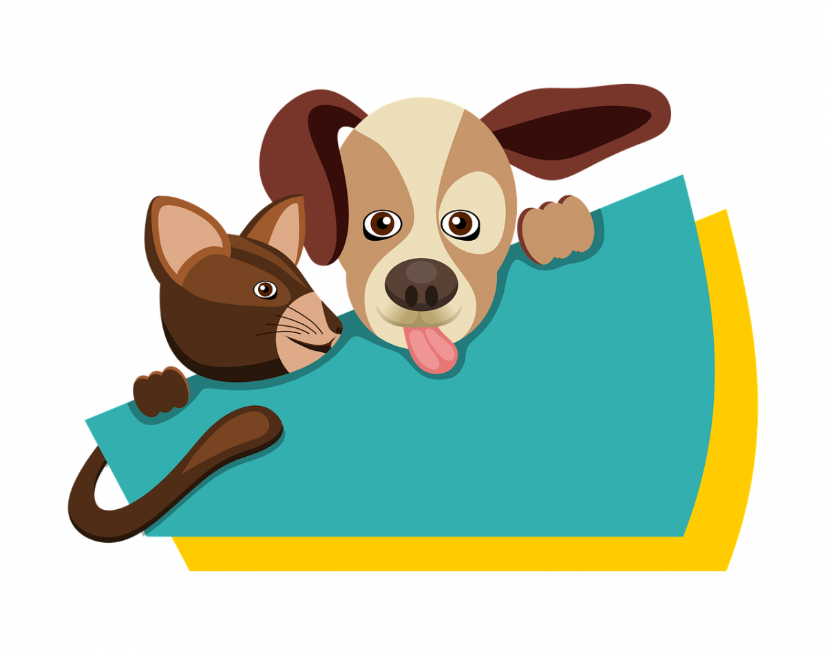 Best Advertising Platforms For Dropshipping Suppliers