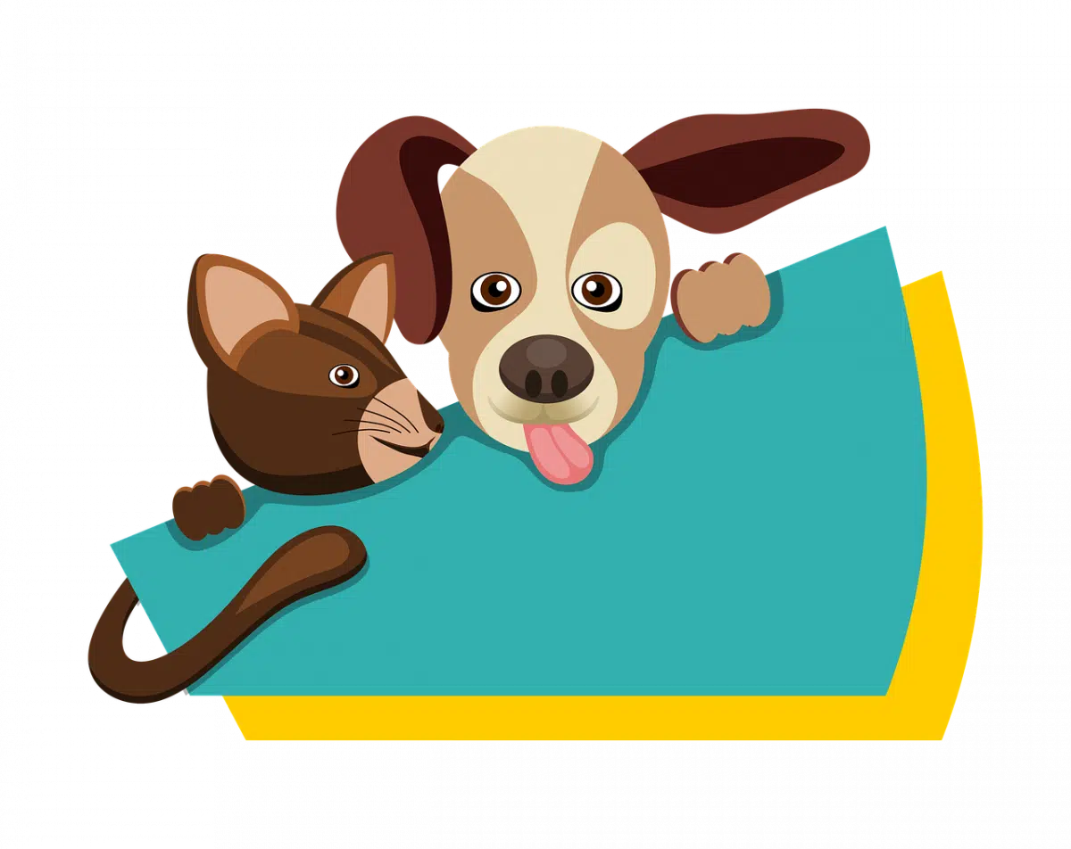 Best Advertising Platforms For Dropshipping Suppliers