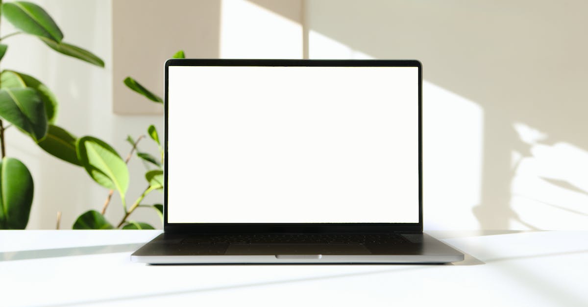 Digital Marketing Agency Near Me+tactics