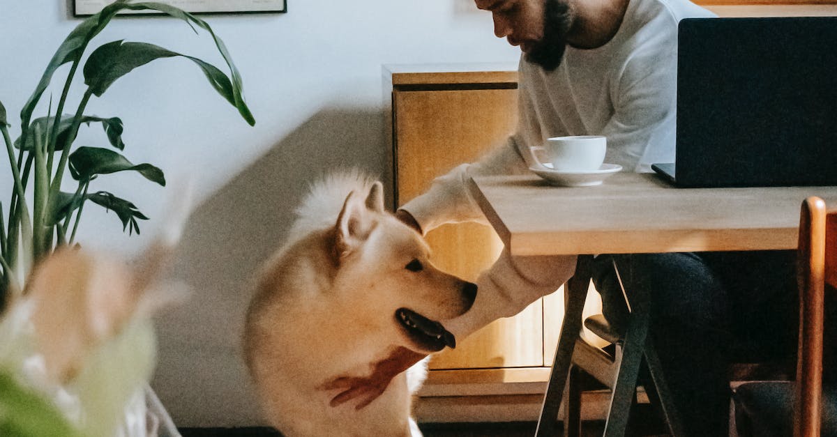 Best Marketing Strategies For Restaurants