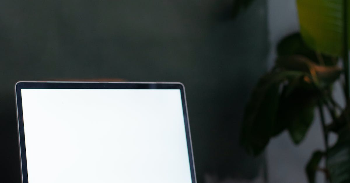 Digital Marketing Diploma Ontario