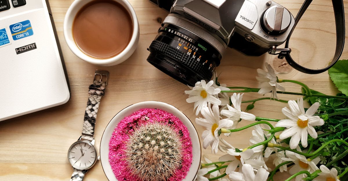 Top 10 Digital Marketing Company In India