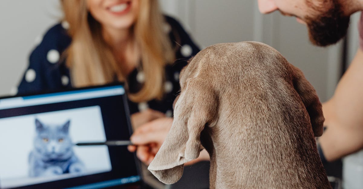 Digital Marketing Apprenticeship Northampton