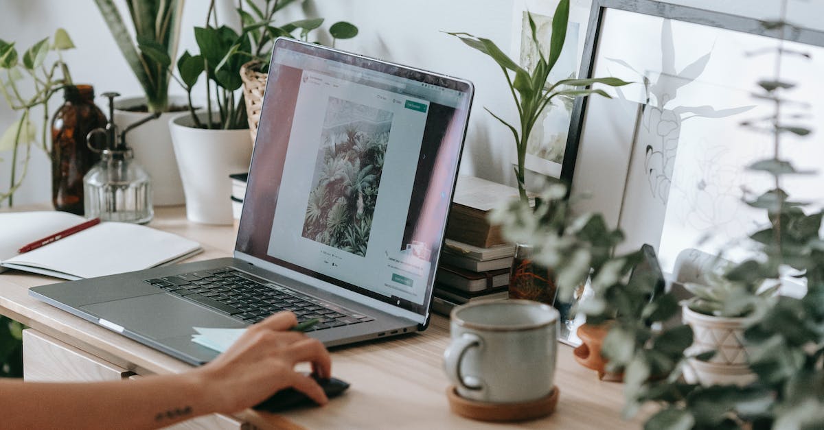Digital Marketing Services Norfolk