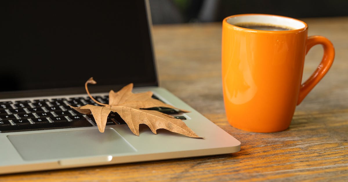 Digital Marketing Expert In Delhi