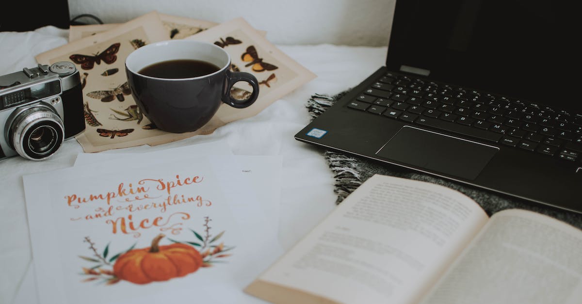 Digital Marketing Bachelor Degree Online