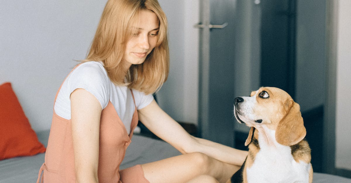 Marketing Firms For Doctors