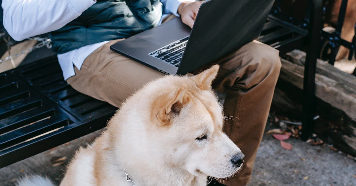 Digital Marketing Strategy Vtechys