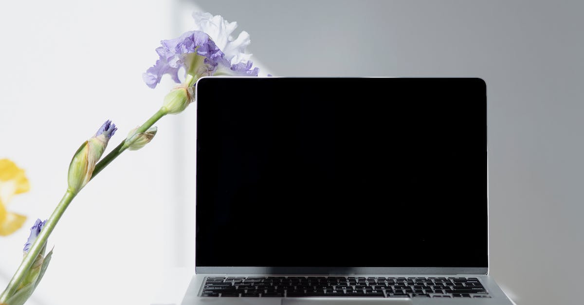 Digital Marketing Agency San Diego Nc