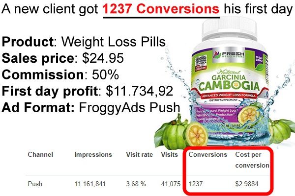 1237 Conversions With Push Ads