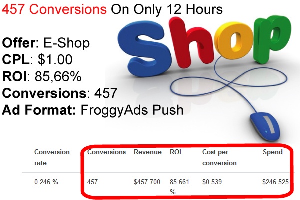 457 Conversions With Push Ads